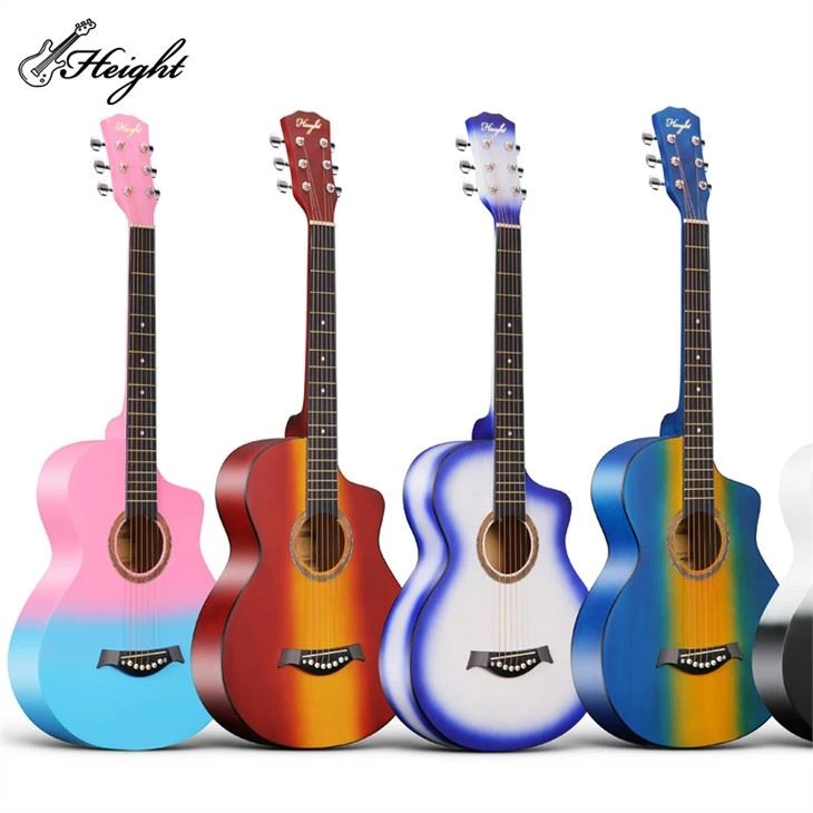 Burswood Acoustic Guitar For Dummies